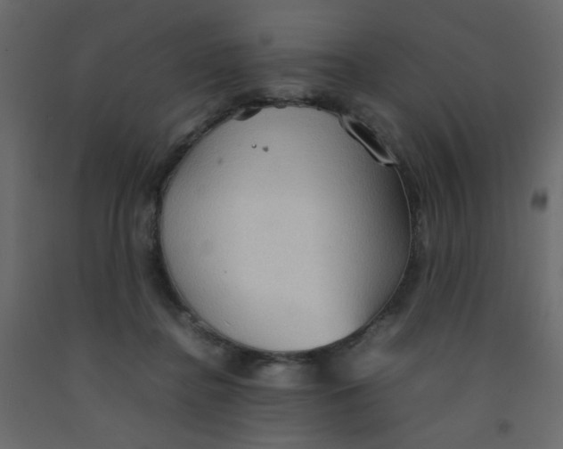 X0000092070364200710101024