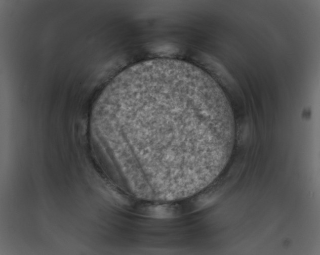 X0000092070365200710101024