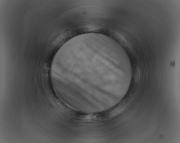 X0000092070366200710101024