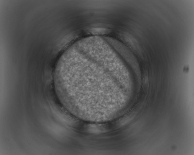 X0000092070367200710101024