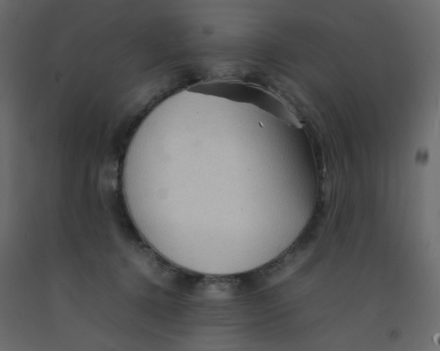 X0000092070368200710101024