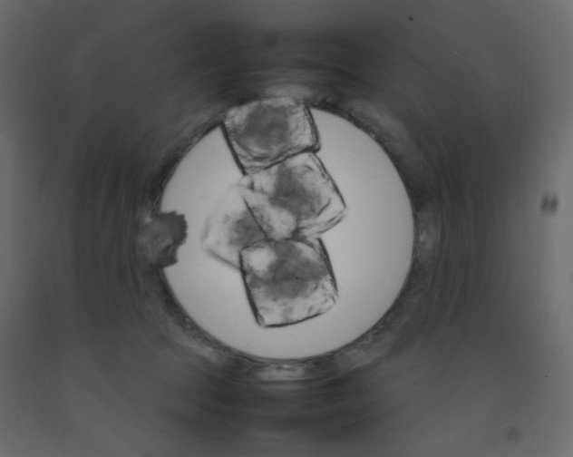 X0000092070369200710101024