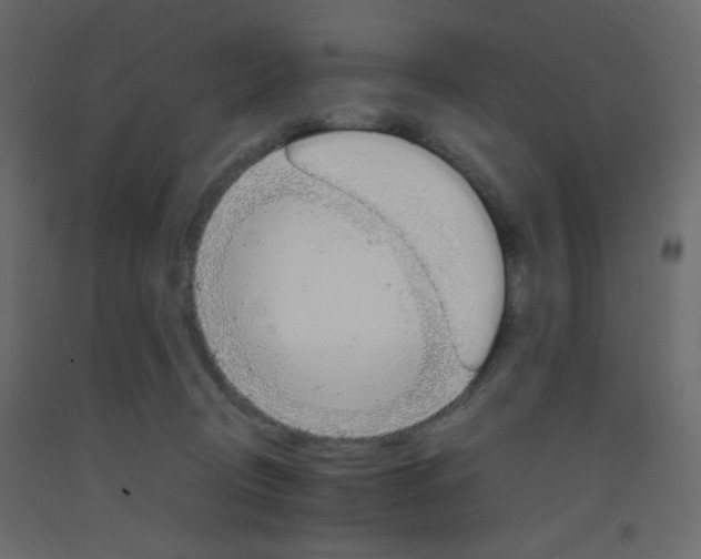 X0000092070370200710101024