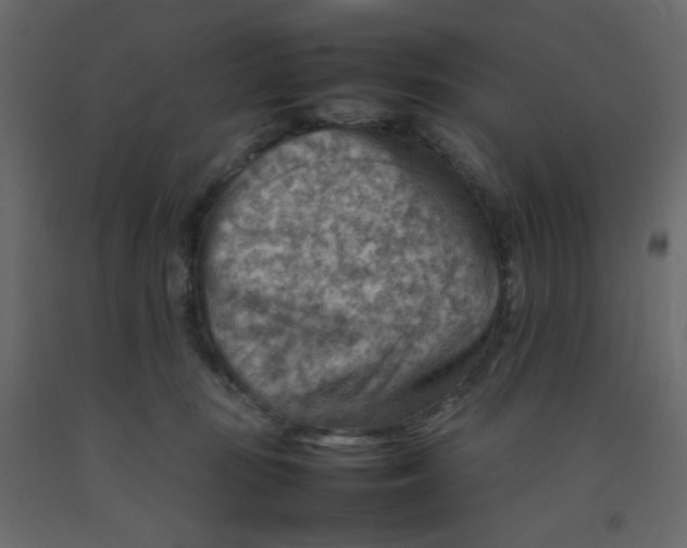X0000092070371200710101024