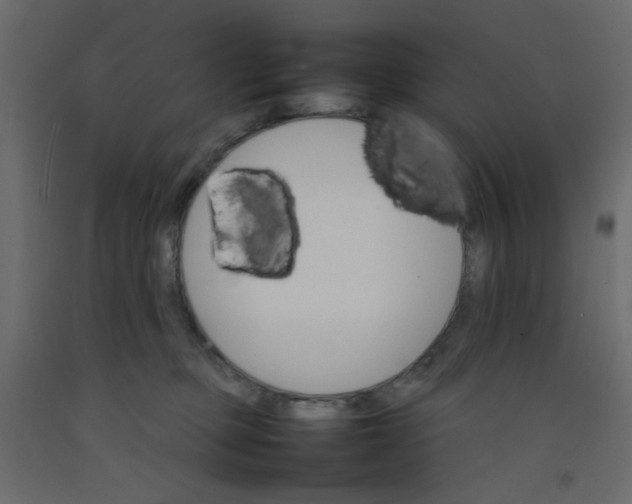 X0000092070373200710101024