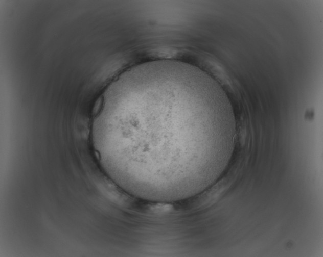 X0000092070374200710101024