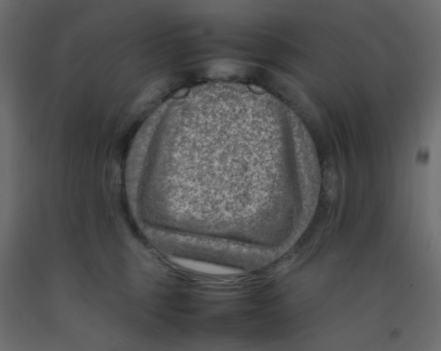 X0000092070375200710101024
