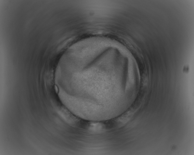 X0000092070376200710101024