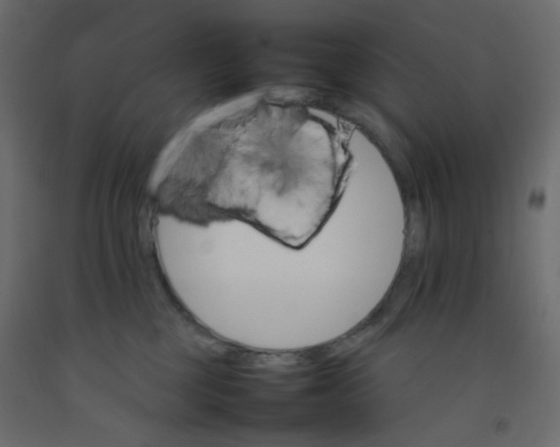 X0000092070377200710101024