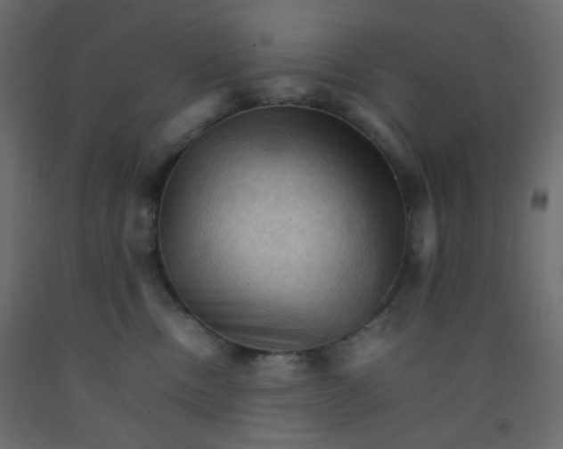 X0000092070378200710101024
