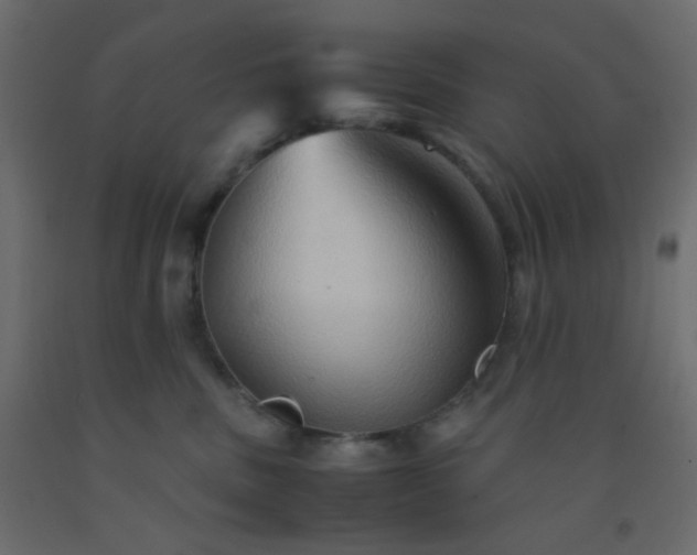 X0000092070379200710101024