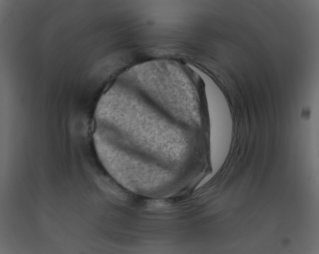 X0000092070380200710101024