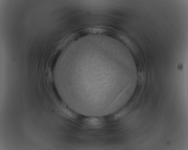 X0000092070381200710101024