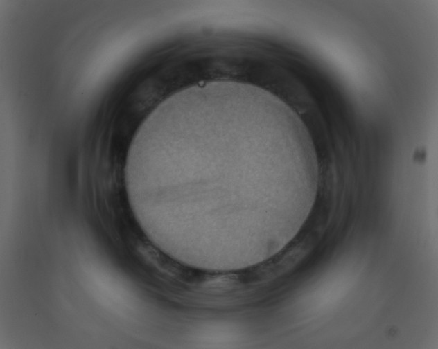 X0000092070382200710101024