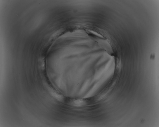 X0000092070383200710101024