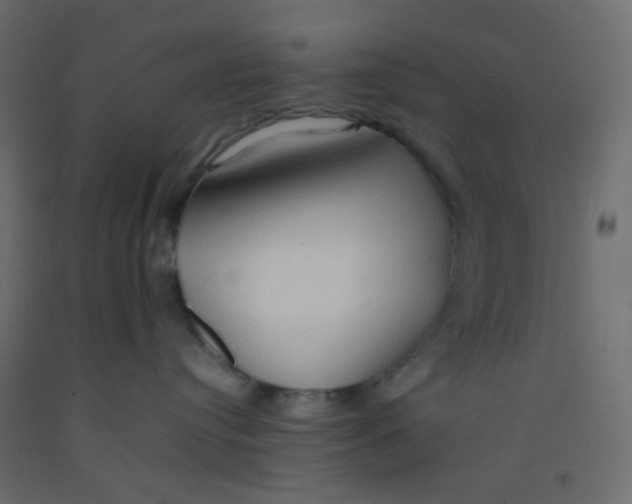 X0000092070384200710101024