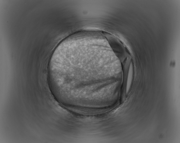 X0000092070385200710101023