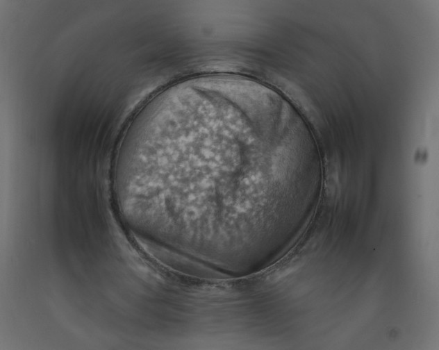 X0000092070386200710101023