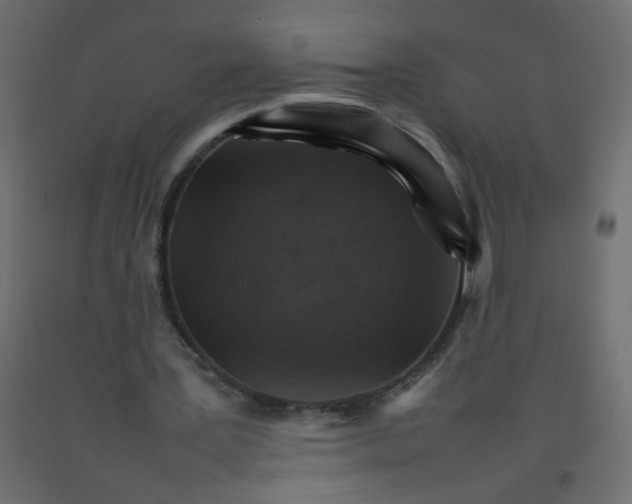 X0000092070387200710101023