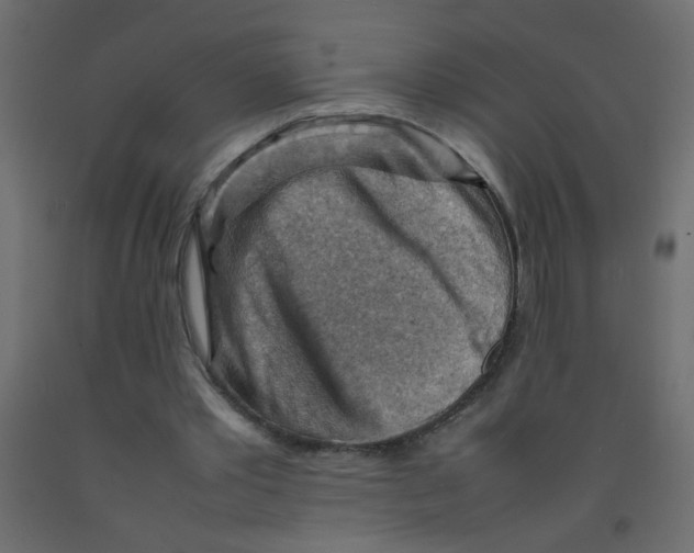 X0000092070389200710101023