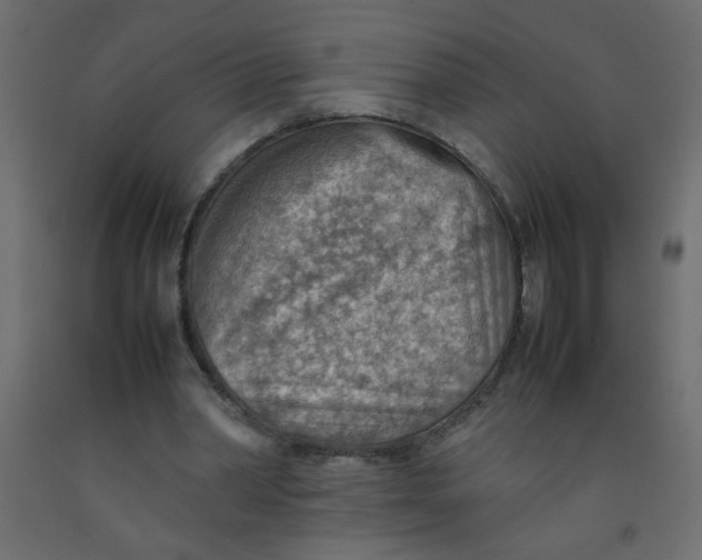 X0000092070390200710101023