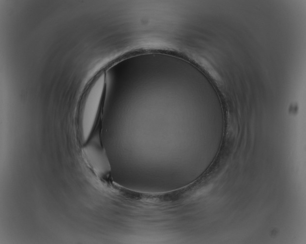 X0000092070391200710101023