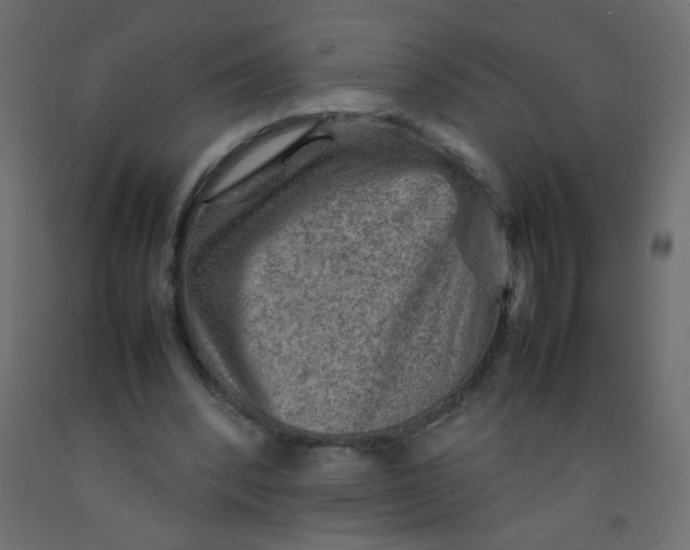 X0000092070392200710101023