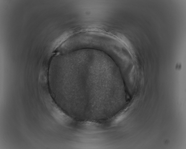 X0000092070393200710101023