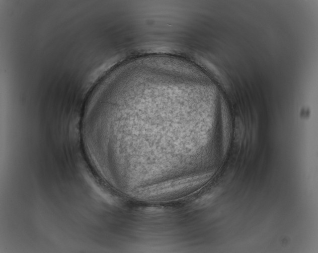 X0000092070394200710101023