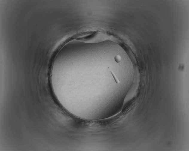 X0000092070395200710101023