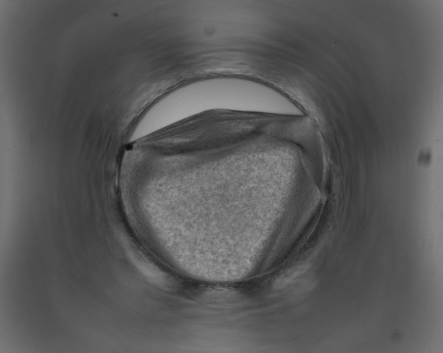 X0000092070397200710101023