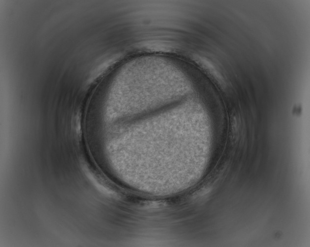 X0000092070398200710101023