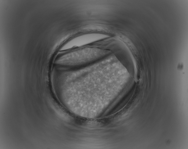 X0000092070399200710101023