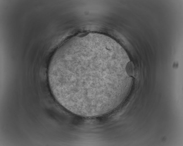 X0000092070401200710101023