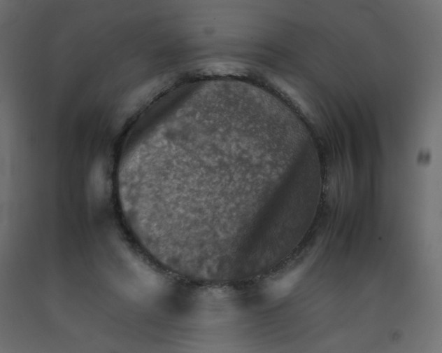 X0000092070402200710101023
