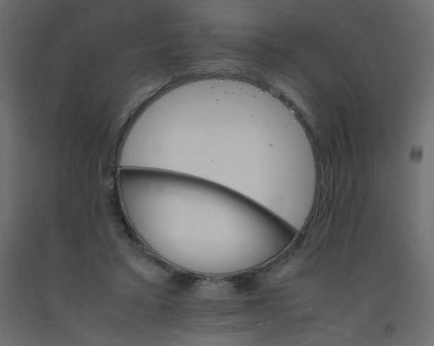 X0000092070403200710101023