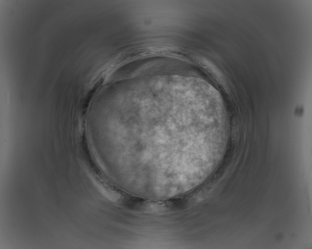 X0000092070405200710101023