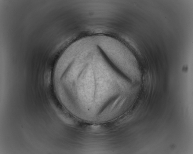 X0000092070406200710101023