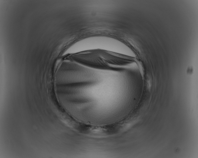 X0000092070407200710101023