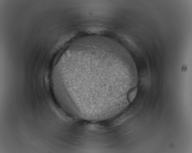 X0000092070408200710101023