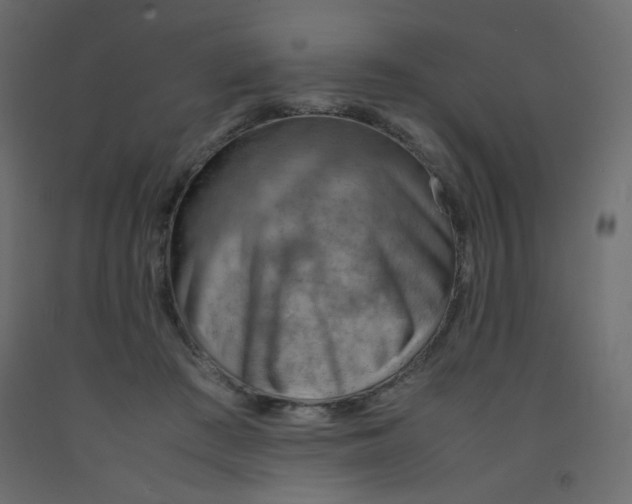 X0000092070409200710101023