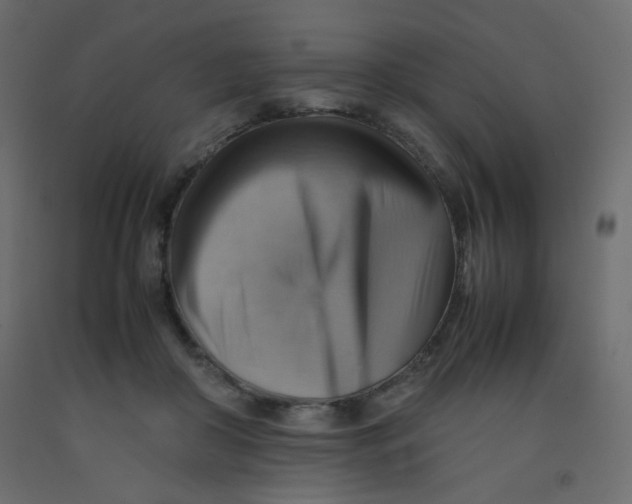 X0000092070410200710101023