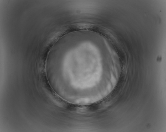 X0000092070411200710101023