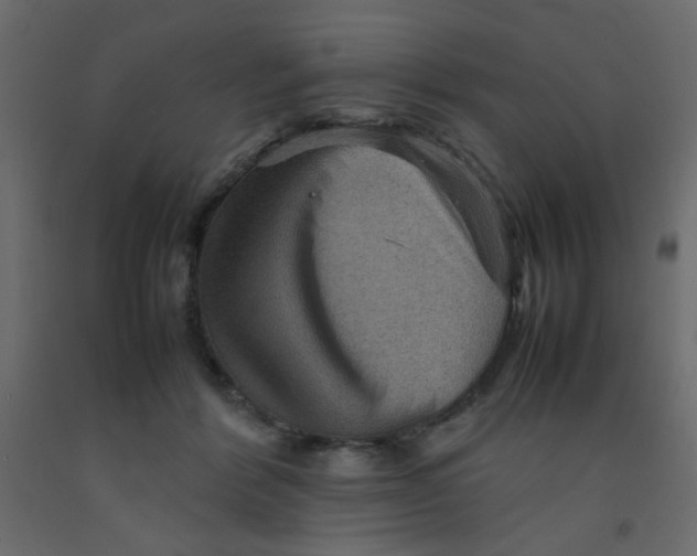 X0000092070412200710101023