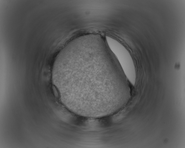 X0000092070413200710101023