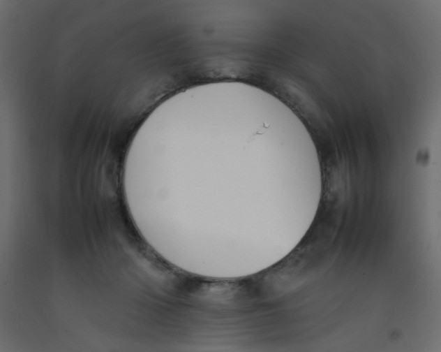 X0000092070414200710101023