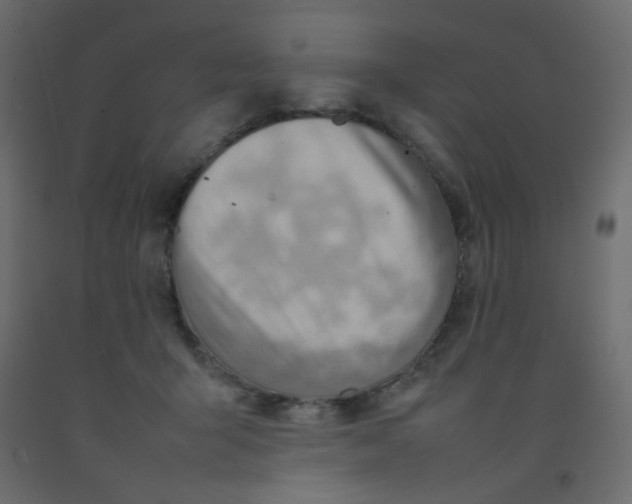 X0000092070415200710101023