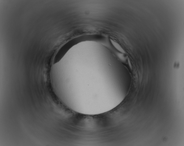 X0000092070416200710101023
