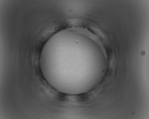X0000092070417200710101023