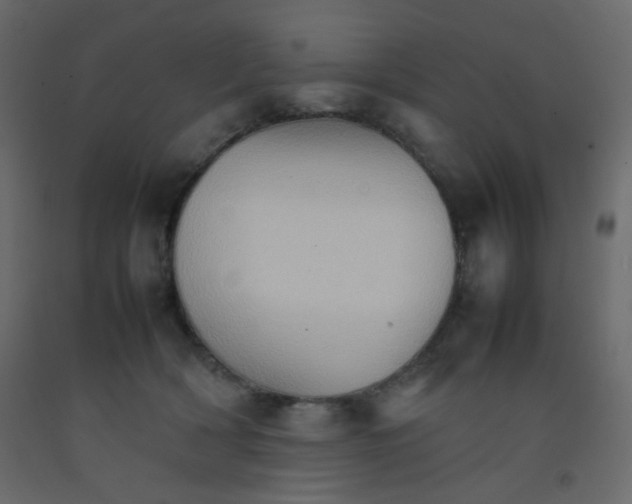 X0000092070418200710101023